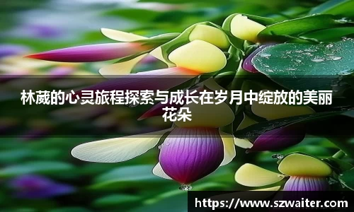 芒果体育