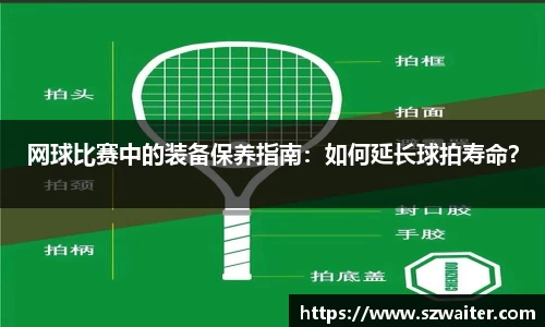 芒果体育官网入口